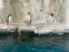 -南昌海洋公园
