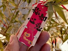 -星星奶冰·汤圆刨冰(甘肃路店)
