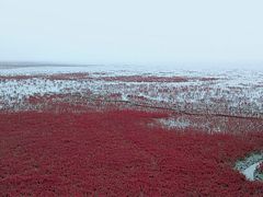 -红海滩国家风景廊道