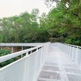 深圳网红桥～白桥