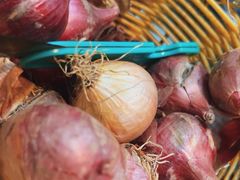 -海波肉串(振兴广场店)