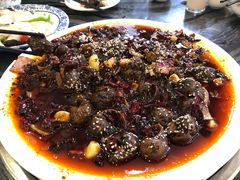 -江湖黑大兔(杨家坪店)