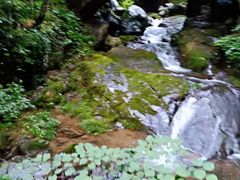 -藏龙百瀑风景区