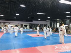 -陈中跆拳道(中关村馆)