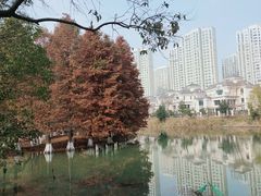 -白塘生态植物园