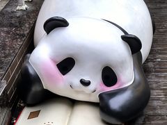 -轩客会(熊猫书店)