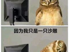 -万煲旺·香港老传承煲仔饭·猪杂汤(客村店)
