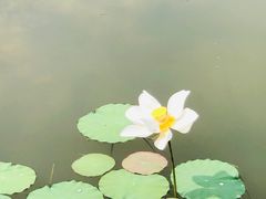 -广东天露山旅游度假区