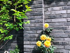 -老北京风情街