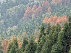 -太阳湾风景区