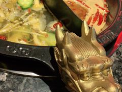 -蜀大侠火锅(森兰花园城店)