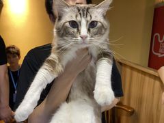 -白兔子密室(长寿路店)