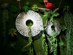 -惠友大虾(太原北街店)