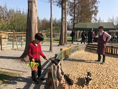 -前小桔亲子创意农场·草莓采摘·露营烧烤