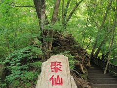 -天女山森林公园