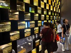 -太平洋海底世界