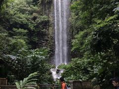 -新加坡飞禽公园