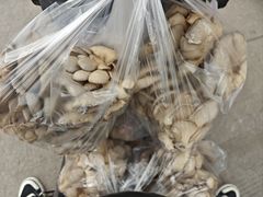 -西北农副产品中心批发市场(广安路店)