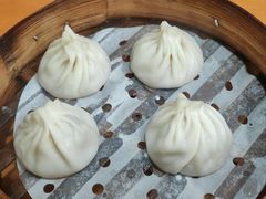 -莱莱小笼·乔艾