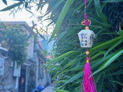 -溪岸路花鸟市场