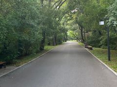 -北陵公园