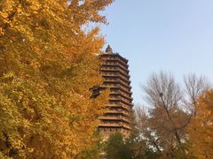 -玲珑塔公园