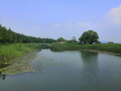 -太湖湖滨国家湿地公园-停车场