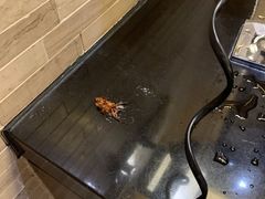 -广州都喜泰丽温泉度假酒店