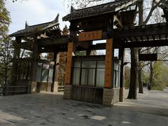 -溱湖国家湿地公园