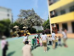-泰宁田林幼儿园