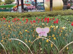 -玄武湖景区-情侣园游乐场