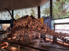 -湖南省地质博物馆