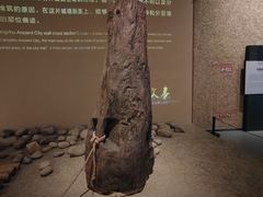 -良渚博物院
