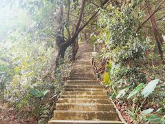 -小南山公园