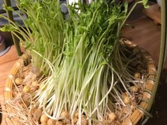 -大头椰·椰子鸡火锅(南宁万象城店)