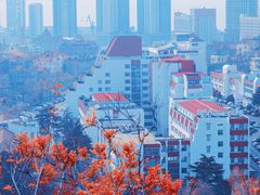 -信号山公园