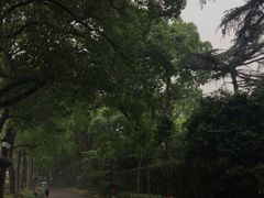 -上海虹桥迎宾馆