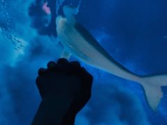 -济南方特东方神画