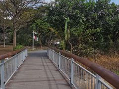 -福田红树林生态公园