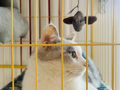 -青春加萌照相馆