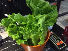 -古乐牛香·鲜牛肉牛杂火锅(五一中路店)