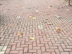 -南京财经大学(仙林校区)