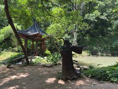 -句容茅山景区