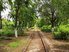 -永定河休闲森林公园