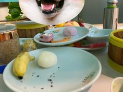 -绿岛港轩海鲜烤肉涮锅自助餐厅