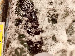 -南纪白浜Toretore市场
