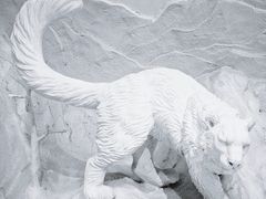 -中国湿地博物馆