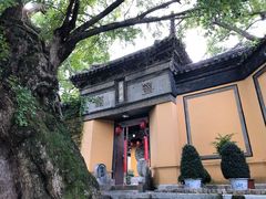景点-无锡惠山寺