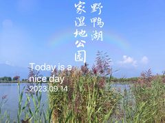 -野鸭湖国家湿地公园