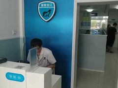-中农大我爱我爱24h动物医院·中医针灸·猫专科·骨科医疗中心(双井店)